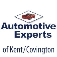 Automotive Experts